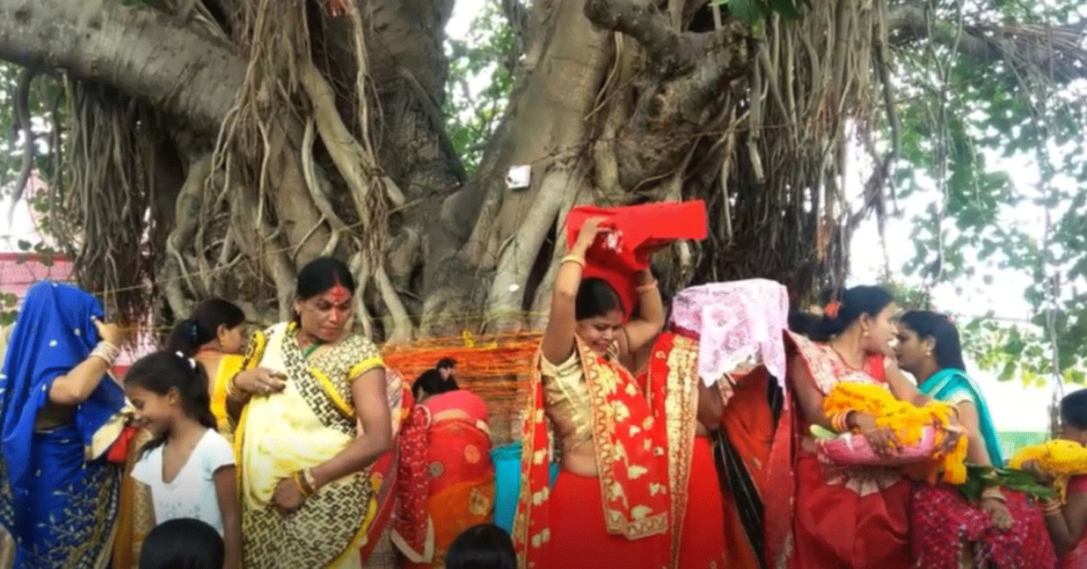 मिथिलाञ्चलमा वटसावित्री पर्व मनाइँदै