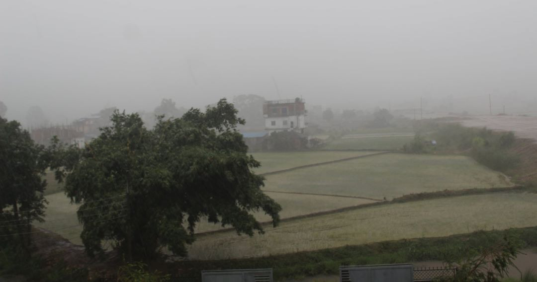 सर्लाही र मधेशका किसानलाई आकाशे वर्षाले ठूलो राहत, धान रोपाइँमा उत्साह