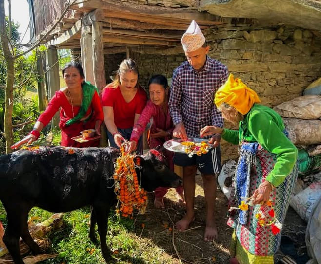 आज गाई र गोवर्धन पूजाको पर्व, श्रद्धा र उल्लासका साथ देशभर मनाइँदै